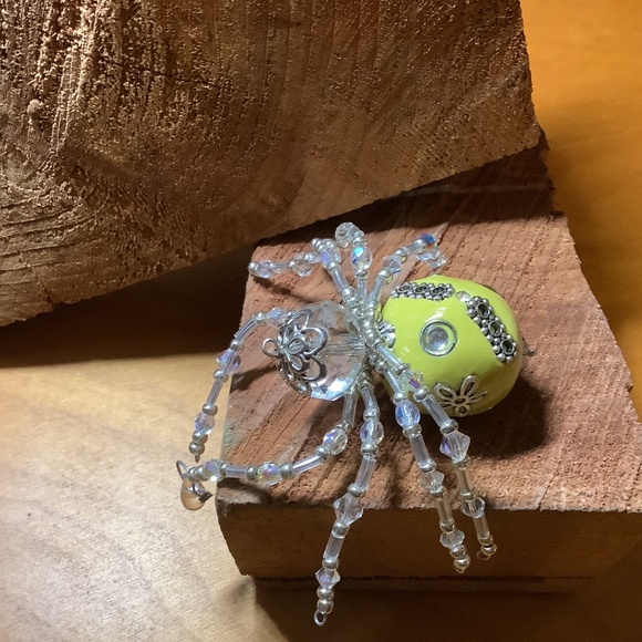 Spider - Picture 3 of 5